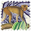 Barbados, Jungle - Twist&Fit Roman Blind
